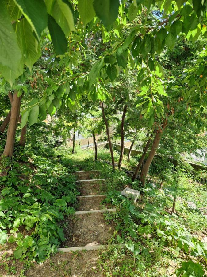 Garden & View Apartment Специя Екстериор снимка